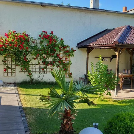 Apartments Am Saalebogen Mit Gartenterrasse, Grillkamin, Freie Parkplaetze Rudolstadt Exterior foto