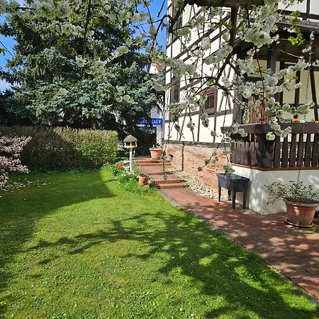 Apartments Am Saalebogen Mit Gartenterrasse, Grillkamin, Freie Parkplaetze Rudolstadt Exterior foto