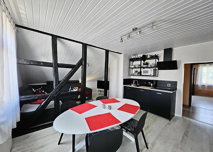 Apartments Am Saalebogen Mit Gartenterrasse, Grillkamin, Freie Parkplaetze